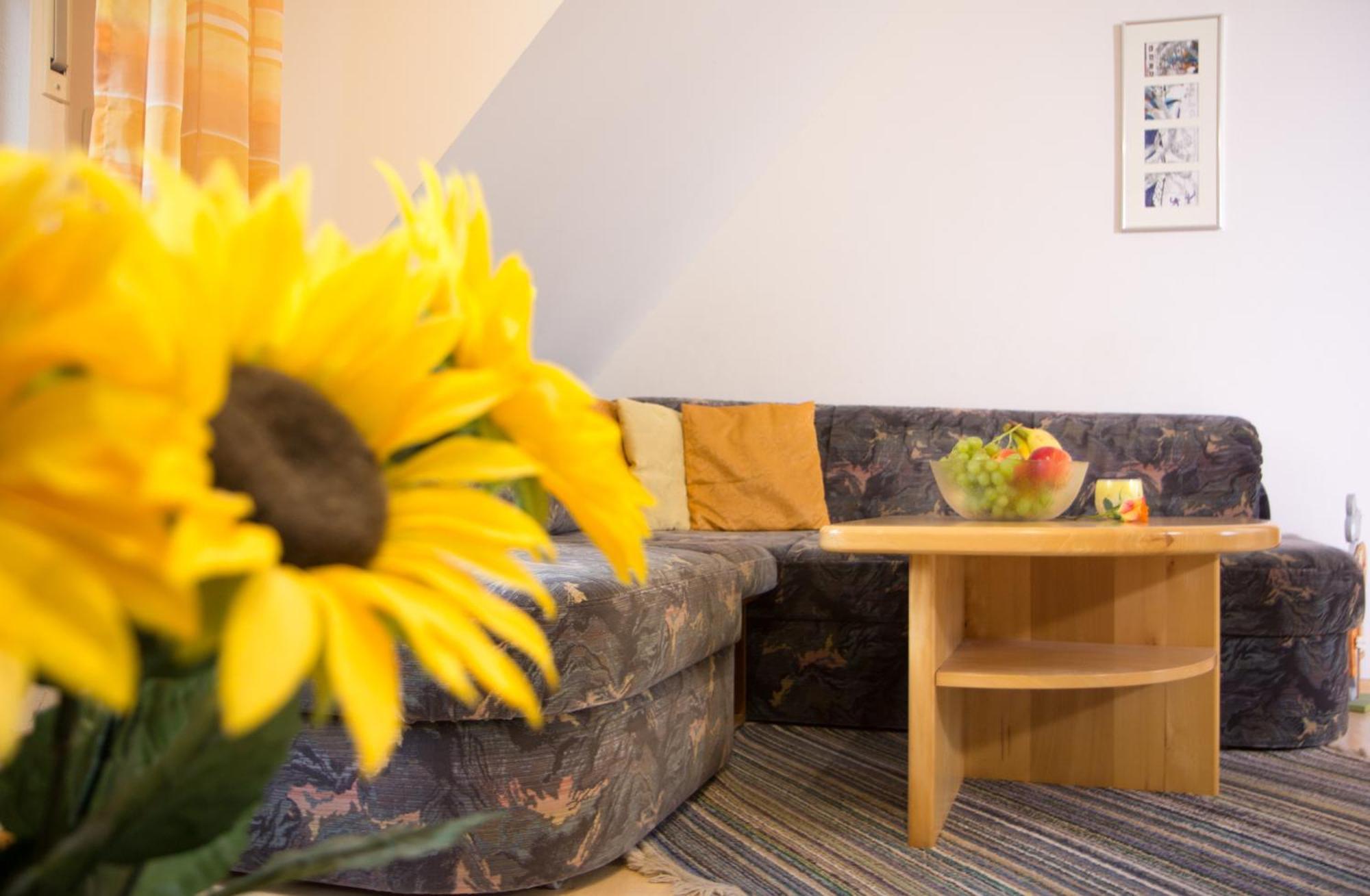 Ferienwohnung Am Sonnenhang Neualbenreuth Luaran gambar